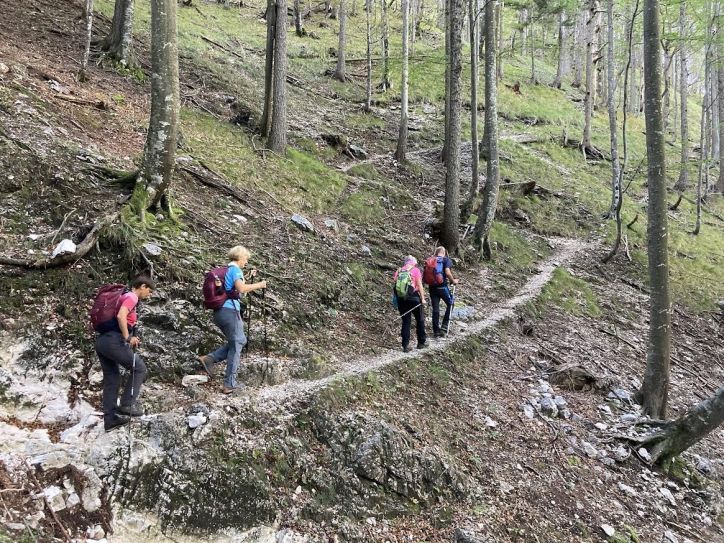 Kamniški Dedec